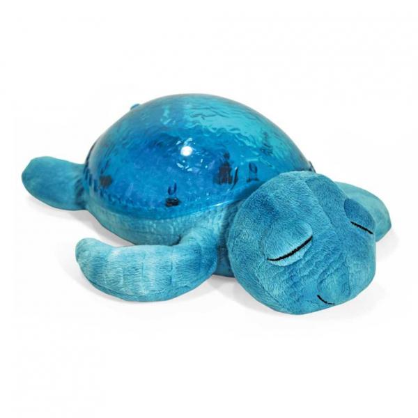 Tranquil Turtle