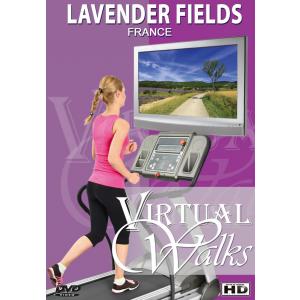 DVD Virtuelle Spaziergänge - Lavendelfelder